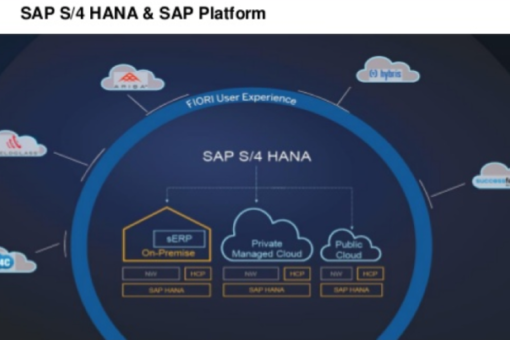 Plataforma SAP S/4Hana